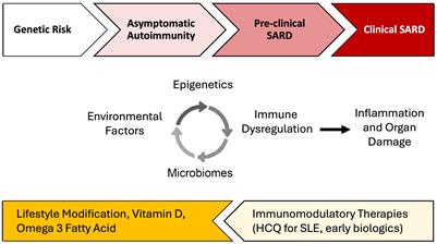 Environment and systemic autoimmune rheumatic diseases: an overview and future directions